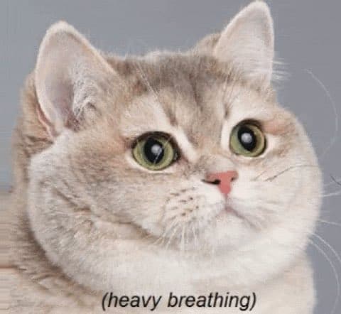 Cream-colored cat with wide green eyes staring forward, captioned '(heavy breathing)'