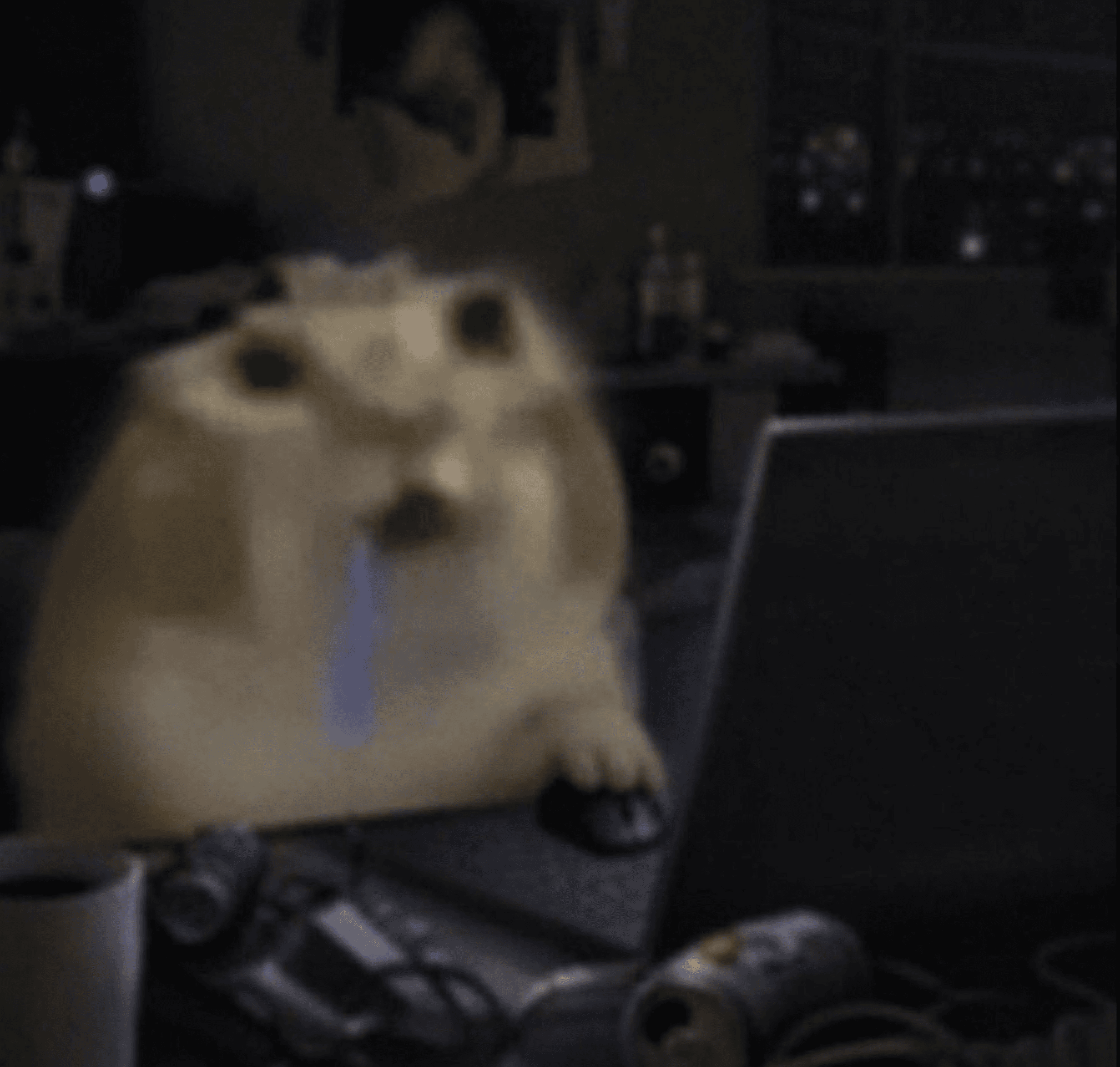 Blurry photo of a white cat sitting at a laptop in a dark cluttered room late at night, one paw resting on a computer mouse, with a blue cartoon tear streaming down its face